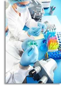 Areas of Science Careers Areas of Science Careers
