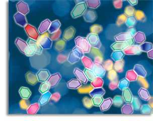 Continuing Education in Science Careers Continuing Education in Science Careers
