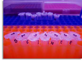 Degrees Needed Science Careers Degrees Needed Science Careers